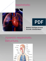 FISIOLOGIA RespiratorioSM
