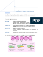 Histología. Tejidos Básicos