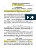 Adecvarea La Constângerile Fizice Impuse de Amplasamentul Lucrării