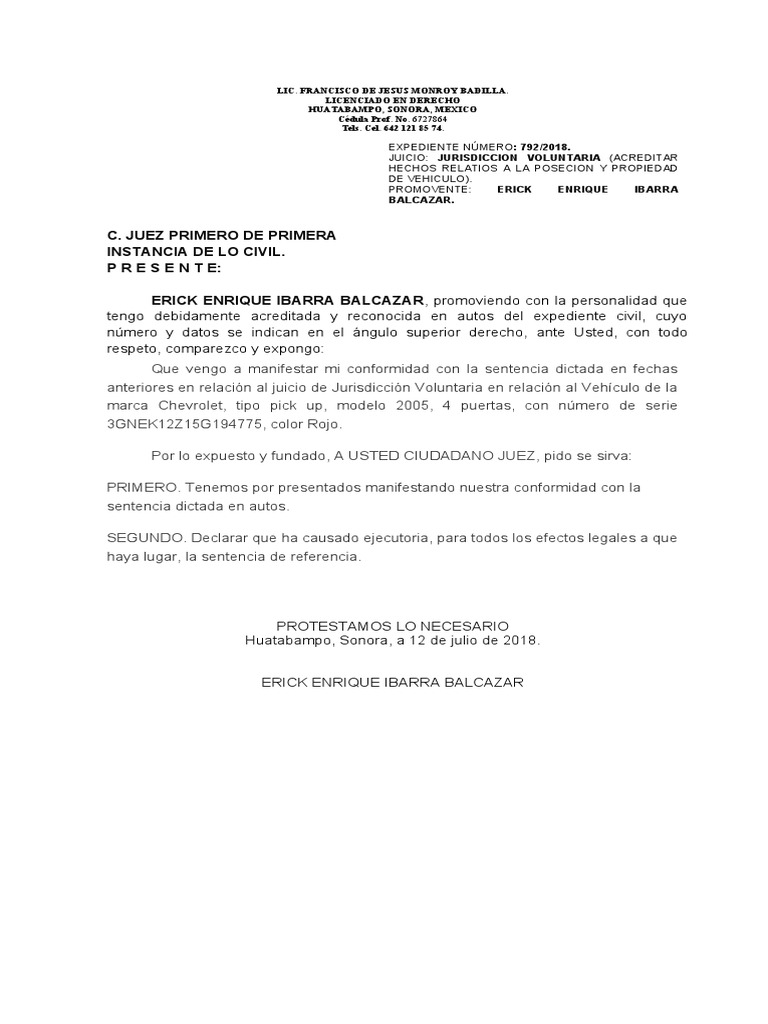 PROMOSION Conformidad de La Sentencia | PDF