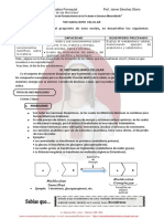 Metabolismo Celular.