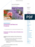 Production de Fleurs en Provence - Provence 7