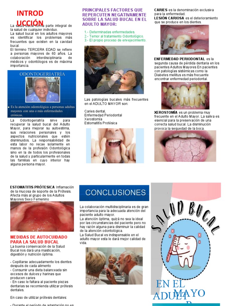 Triptico Salud Bucal Pdf Odontología Dentadura Postiza