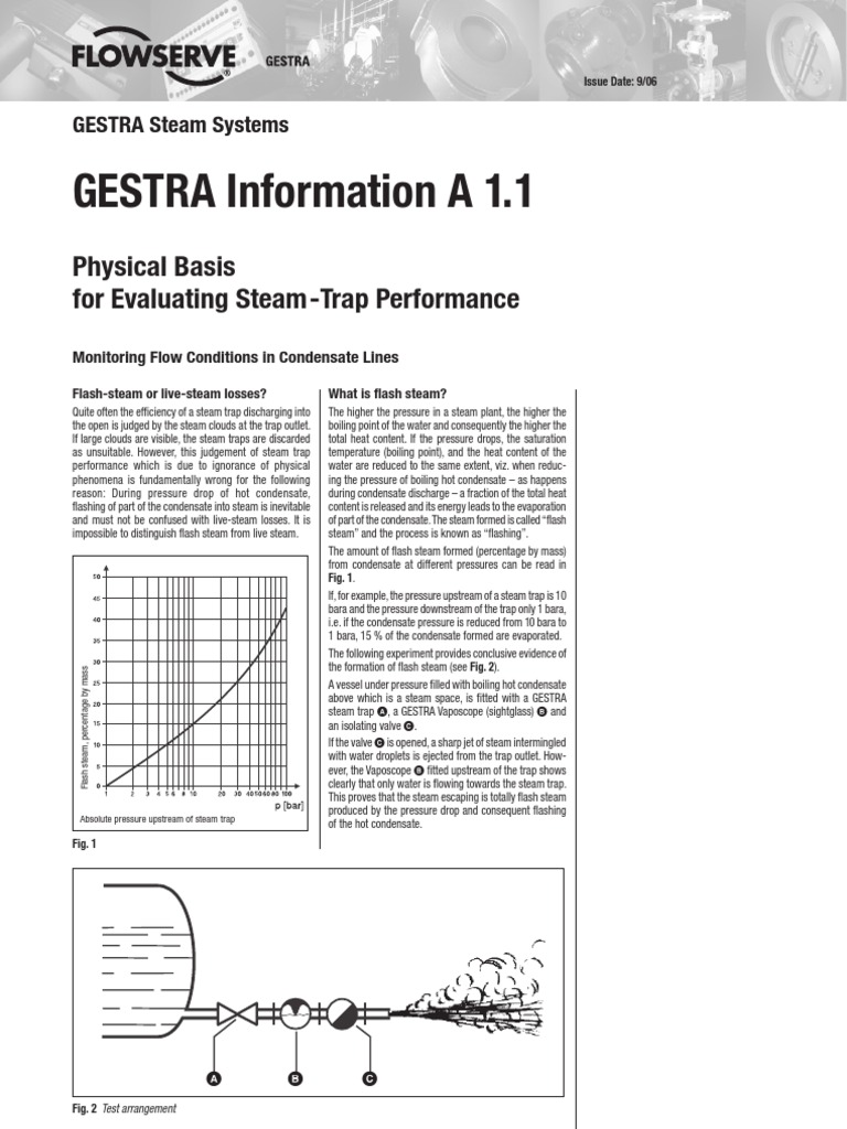 Physical Basis For Evaluating Steam Trap Performance | PDF