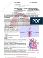 CIRCULACIÓN Cardiovascular