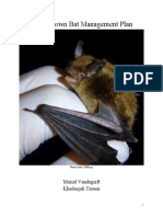 Myotis Lucifugus Management Plan