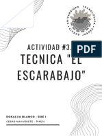 3.1 el escarabajo