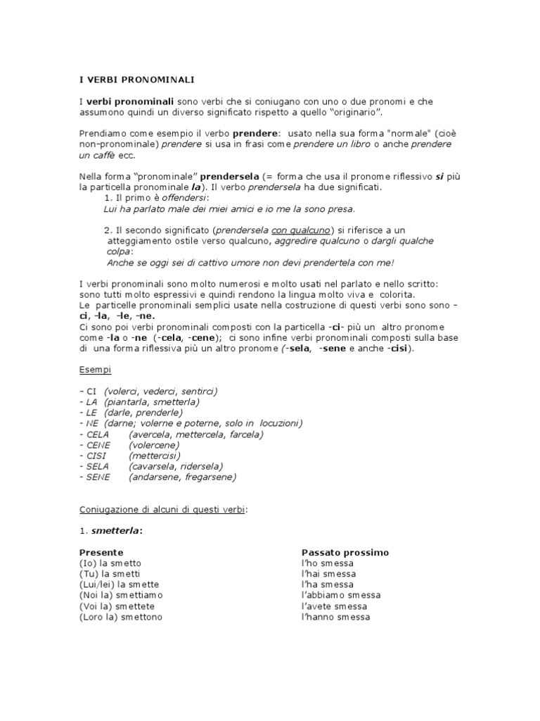 I Verbi Pronominali | PDF