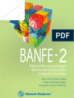 Manual Banfer-2
