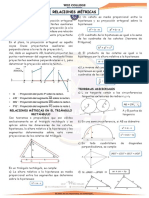 Relaciones Métricas en El Triángulo 5to 2022