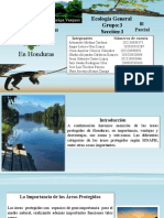 Areas Protegidas en Honduras Ecologia General