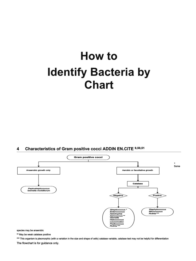 Identification Of Bacteria Derived