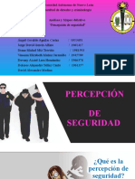 Percepcion de Seguridad