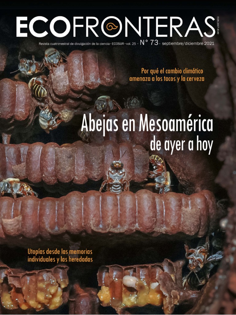 Abejas en Mesoamerica - Revista Cientifica de Divulgacion | PDF