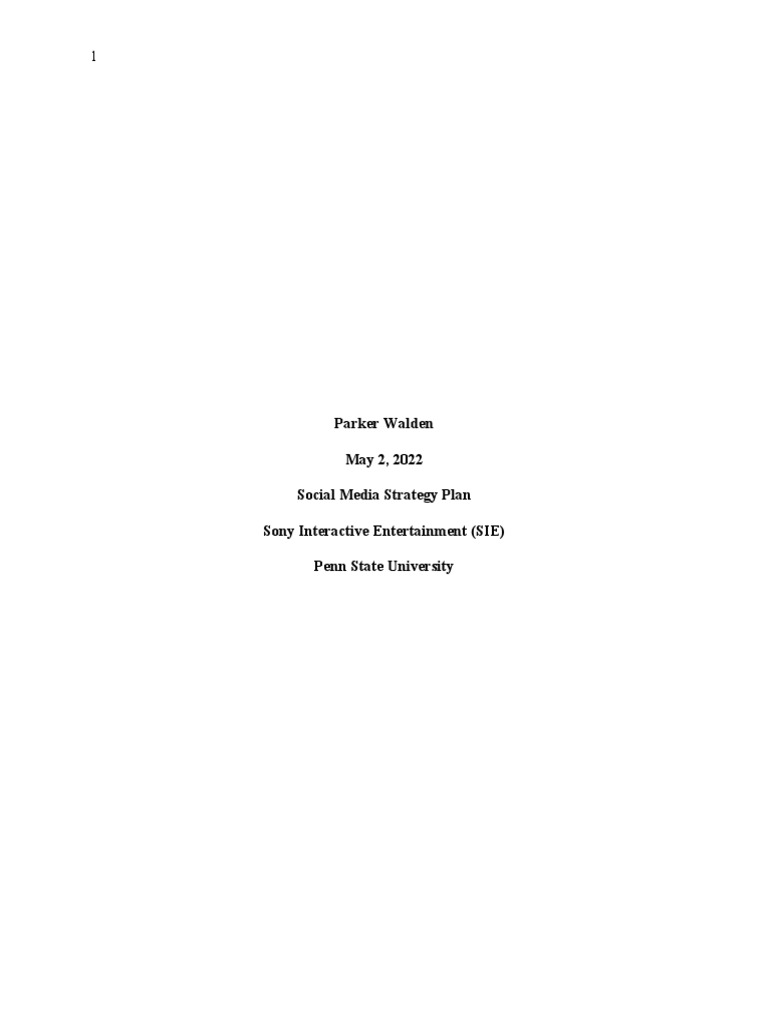 social-media-strategy-plan-1-pdf-nintendo-video-game-consoles
