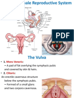 Part 9 - Human Female Reproductive System