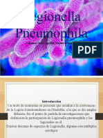 Legionella Pneumophila