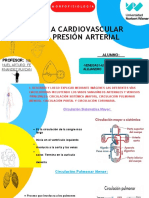 Sistema Cardiovascular - Expo