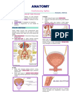 Anatomy Gus 2