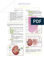 Histology Gus