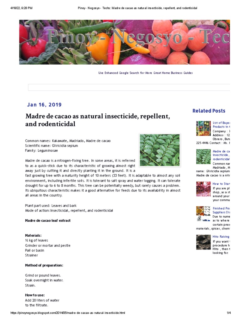 Madre de Cacao: Insecticide & Benefits | PDF | Coconut | Pork