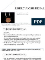 Tuberculosis Renal.
