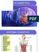 Clase 11 - 12 Cuarto