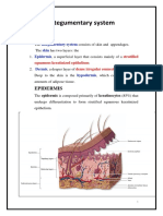 Integumentary System