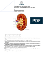 Exercício de Fixação I - Fluídos Corporais