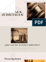 Acciones Judiciales