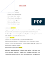 S12.s1 APOPTOSIS - Biologia