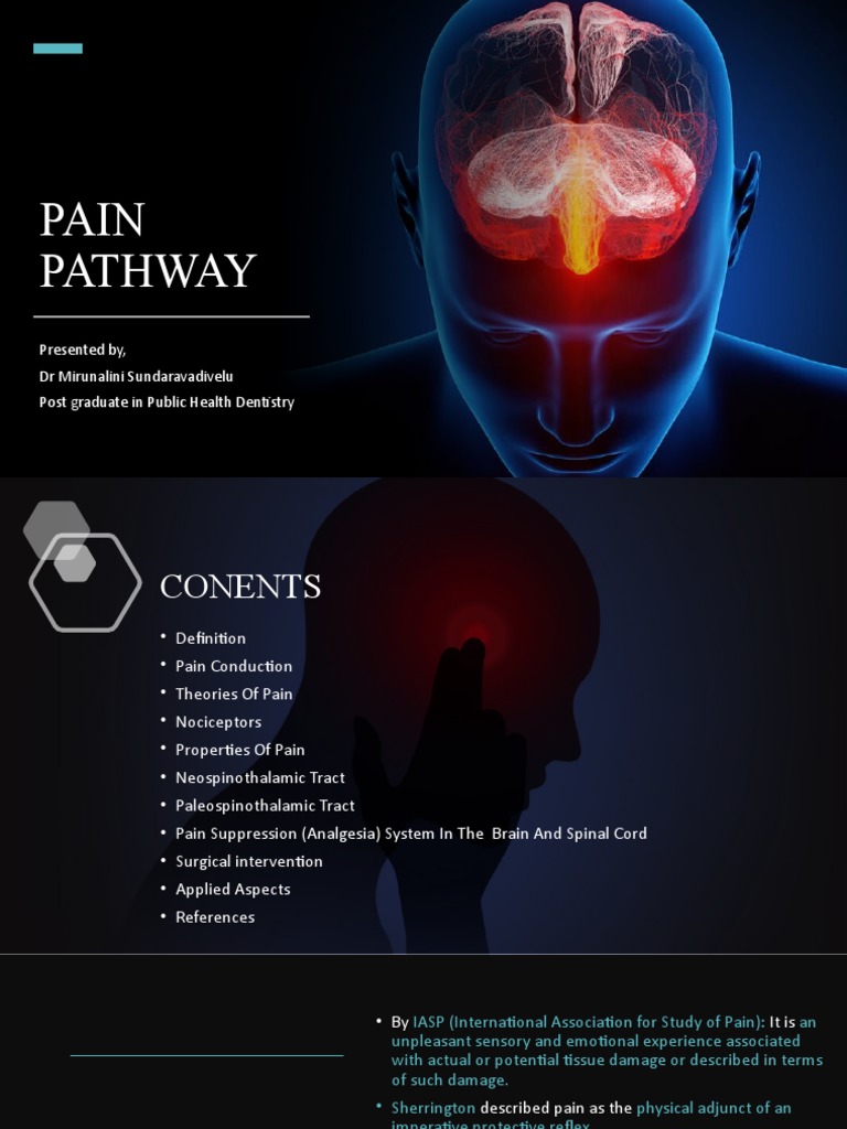 PAIN PATHWAY THE BODY'S ALARM SYSTEM PDF Pain Nervous System