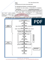 Niveles de Organización de Los Seres Vivos