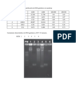 PRACTICA_PCR