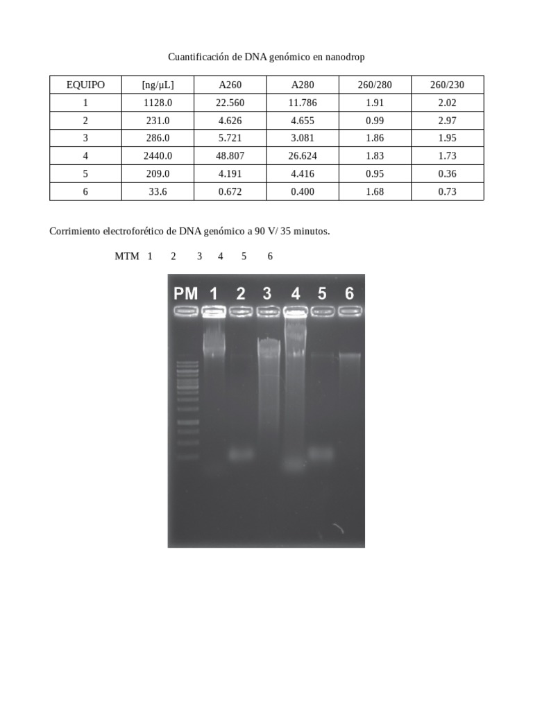 Practica PCR | PDF | Genética | Química