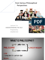 The SELF From Various Philosophical Perspectives