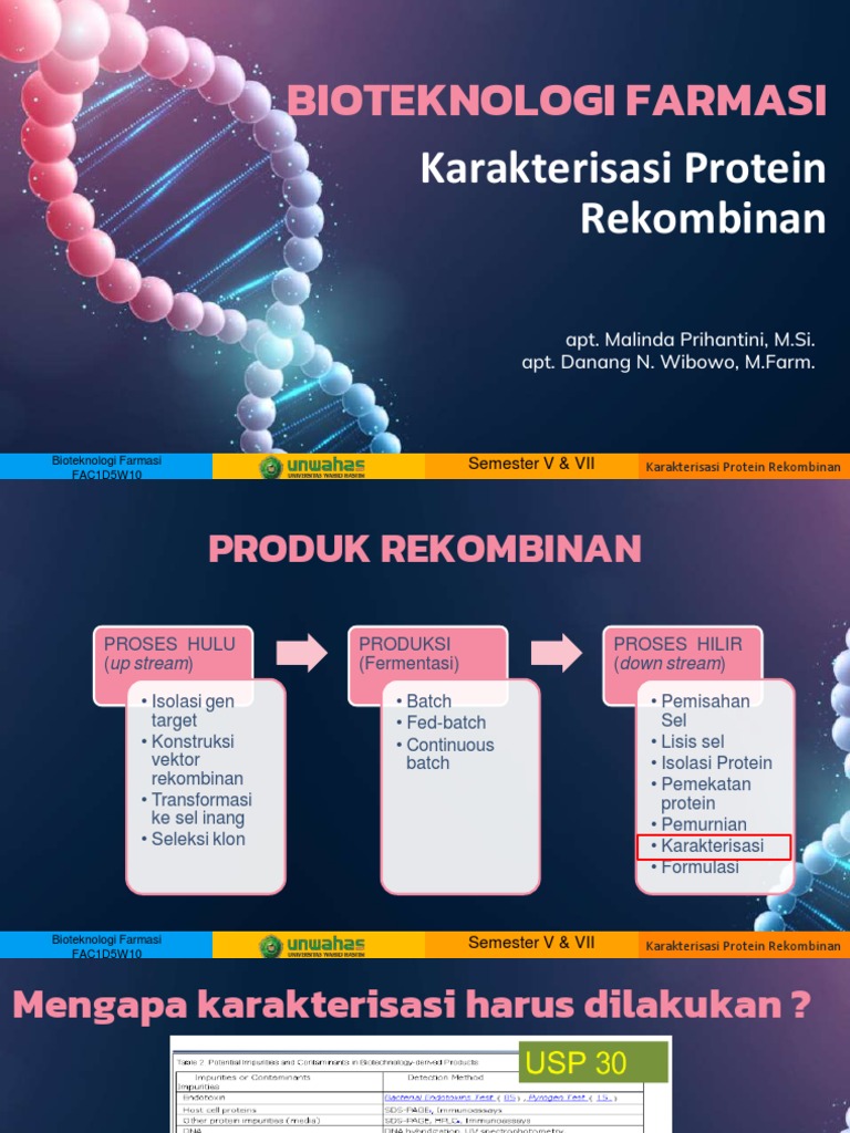 Karakterisasi Protein Rekombinan | PDF