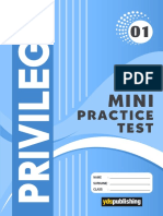 Privilege 11 - Mini Practise Test