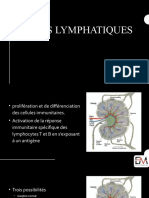4 Neouds Lymphatiques - Le Normal Du Pathologique
