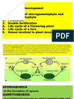 Plant Development: From Sporogenesis to Microgametogenesis