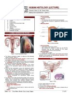 Histo Lec - Female Reproductive System