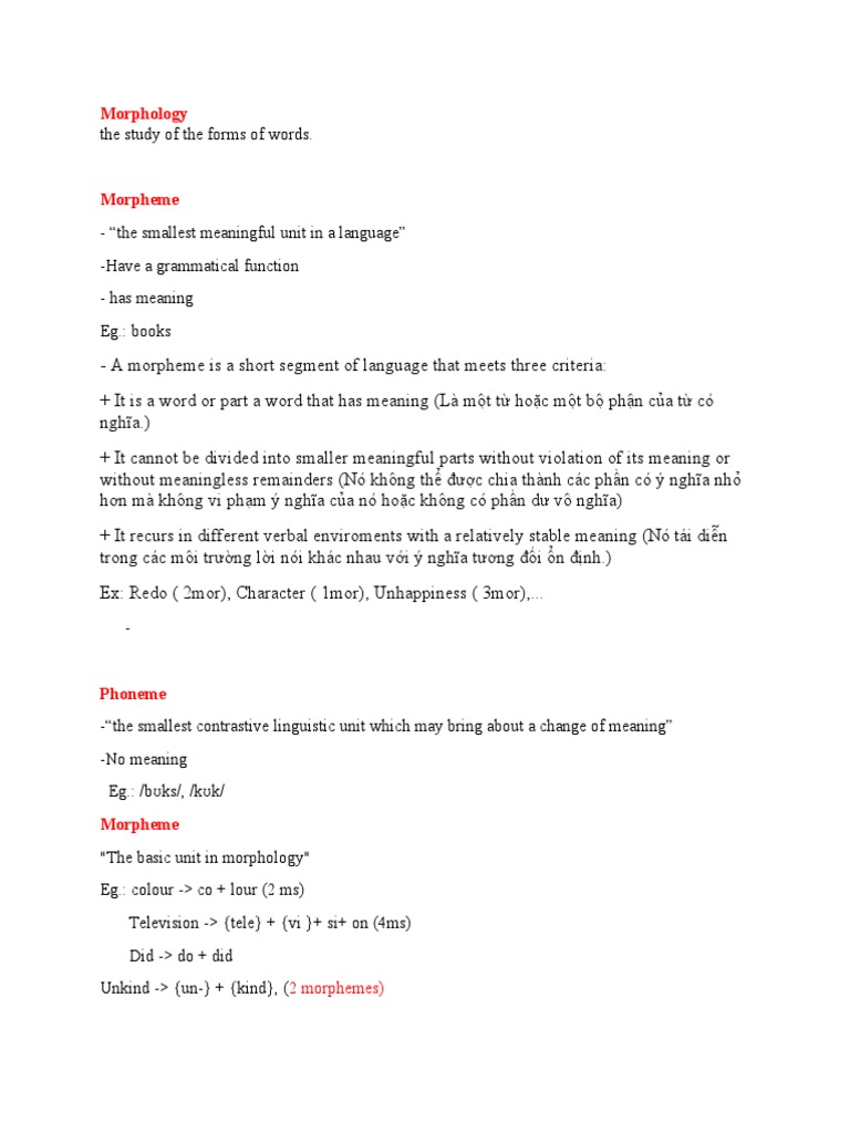 Morphology Pdf Word Verb