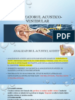 Analizatorul Acustico-Vestibular
