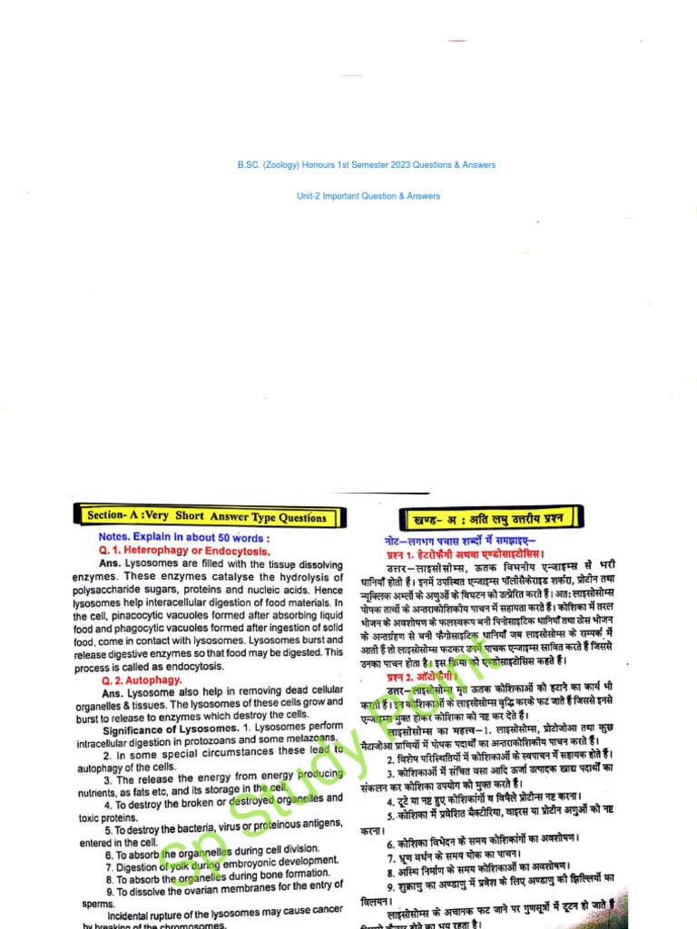 B SC 1st Semester Zoology Unit 2 Important Question Answer | PDF
