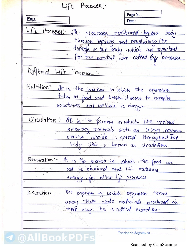 X Bio Hand Written Notes-1-23 | PDF