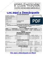 Formato Modelo Ejemplo de Resumen Curricular para Rellenarlo