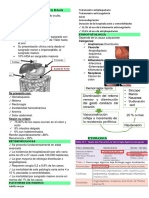 Hemorragia Digestiva Baja