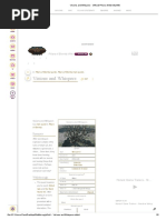 Act I - Visions and Whispers