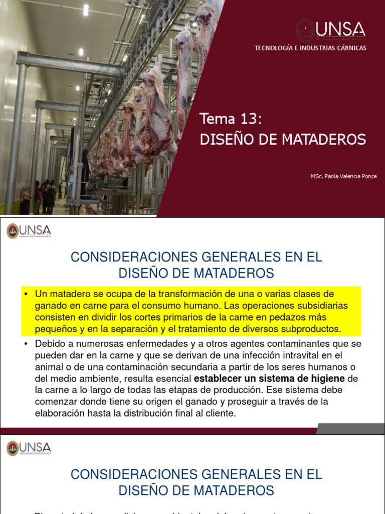 Diseño de Mataderos | PDF | Matadero | Carne