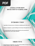 Animal Intrusion Detection